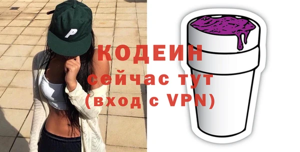 гашик Арсеньев