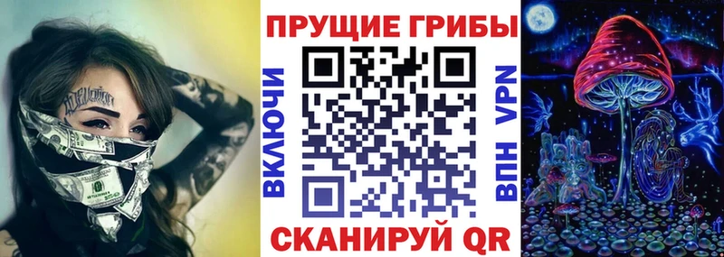 цена Бабаево Псилоцибиновые грибы Psilocybine cubensis